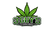 3 Guys Cannabis - Home